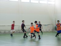IMG_2234